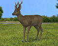 Roe Deer Low Poly 3D 모델 