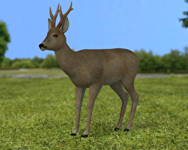Roe Deer Low Poly 3D model