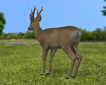 Roe Deer Low Poly 3D 모델 