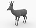 Roe Deer 3D 모델 