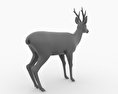 Roe Deer Modelo 3d