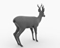 Roe Deer 3D 모델 