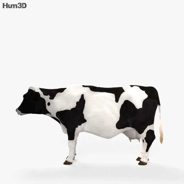 cow animation 3d