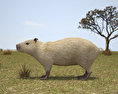 Capybara 3d model