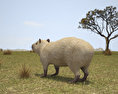 Capybara Modelo 3d