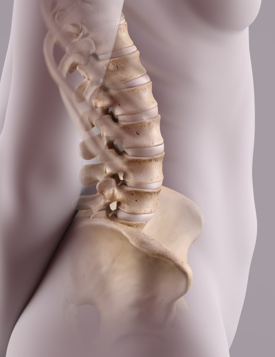 Lumbar spine by James Archer