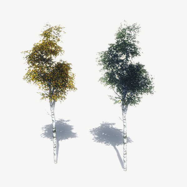 free 3d models trees