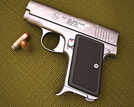 AMT Backup 3D model