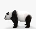 Велика панда 3D модель