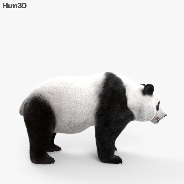 动画大熊猫3d模型 动物on Hum3d