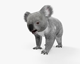 Koala Modelo 3D