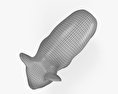 無尾熊 3D模型