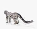 Snow Leopard HD 3d model