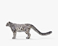 Leopardo delle nevi Modello 3D