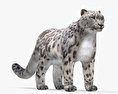 Leopardo delle nevi Modello 3D