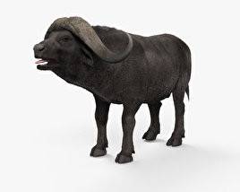 Afrikanischer Büffel 3D-Modell