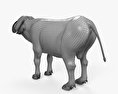 Bufalo africano Modello 3D