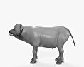 非洲水牛 3D模型