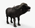 African Buffalo HD 3d model