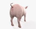 Pig 3d model