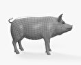 豚 3Dモデル