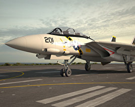 Grumman F-14 Tomcat 3D model