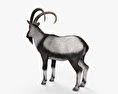 Wild Goat HD 3d model