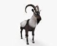 Wild Goat HD 3d model