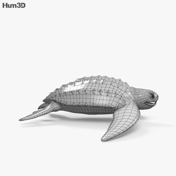 leatherback sea turtle 3d print file free