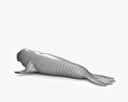 Elefante marino settentrionale Modello 3D