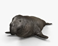 Північний морський слон 3D модель