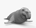 Nördlicher See-Elefant 3D-Modell