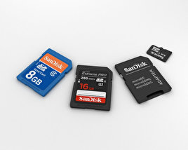 Schede SD Modello 3D