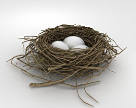 Bird Nest 3D model