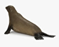 Brown Fur Seal 3d model