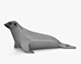 Südafrikanischer Seebär 3D-Modell