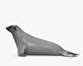 Lobo marino australiano Modelo 3D