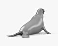 非洲毛皮海狮 3D模型