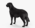 Labrador Retriever Black HD 3d model