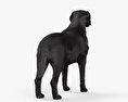 Labrador Retriever Schwarz 3D-Modell