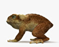 지팡이 두꺼비 3D 모델 