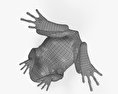 Очеретяна жаба 3D модель