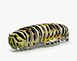 Raupe 3D-Modell