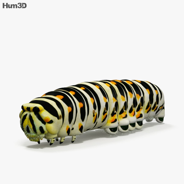 Caterpillar HD 3D model