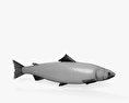 大西洋鮭 3D模型