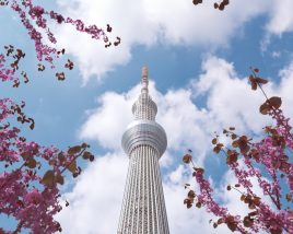 Skytree Tower - Tokyo