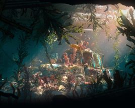 Under the sea