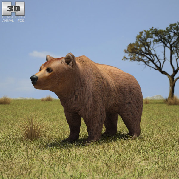 Brown Bear Low Poly 3d model