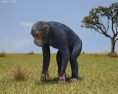 Chimpanzee Low Poly 3d model