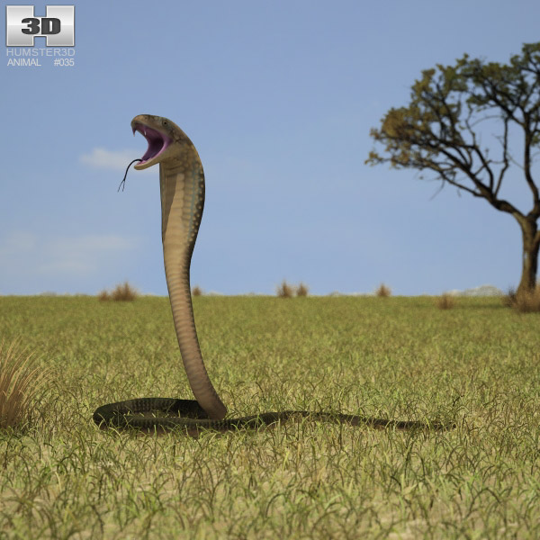 Cobra Low Poly 3D-Modell